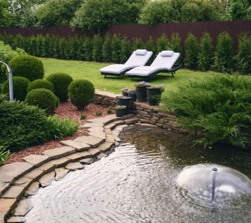 Benodigdheden voor een vijver aanleggen