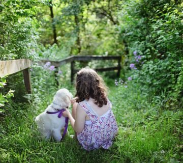 De Perfecte Tuin voor Jouw Hond