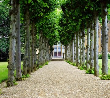 De voordelen van padverlichting