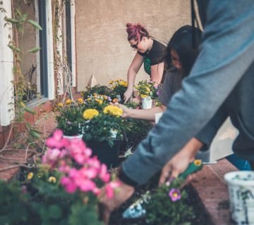 Een betoverende tuin creëren