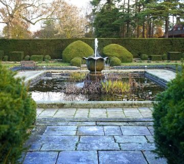 Groene aanslag in de tuin verwijderen en voorkomen