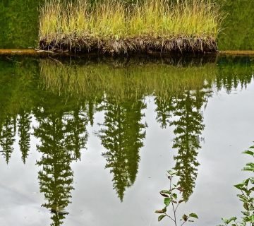 Groenwerk en slootonderhoud