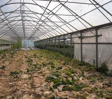 Onmisbare hulpmiddelen voor thuis