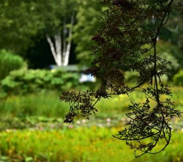 Tuinarchitect vinden via architectenplatform