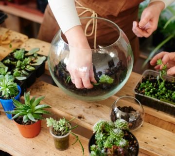 Zelf een planten terrarium maken in 6 stappen