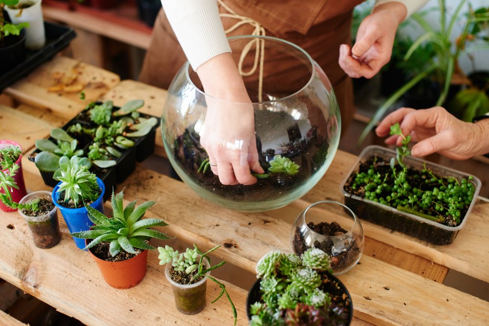 Zelf een planten terrarium maken in 6 stappen