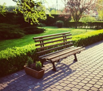 Behoort een haag in een moderne tuin