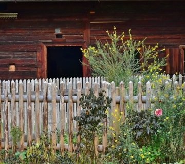 Cottage garden 2914830 640 360x320