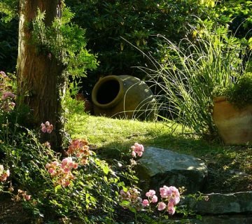 Garden 274534 640 360x320