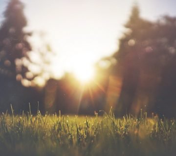 Schaduwdoek of parasol