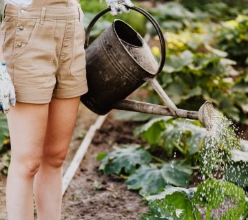 Planten water geven