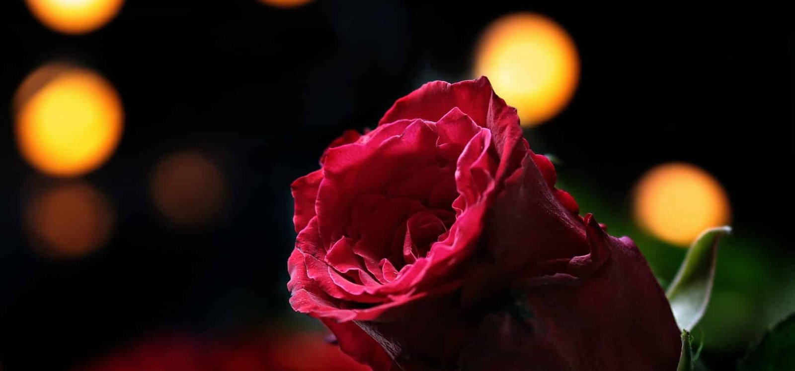 Sfeer creëren in je tuin