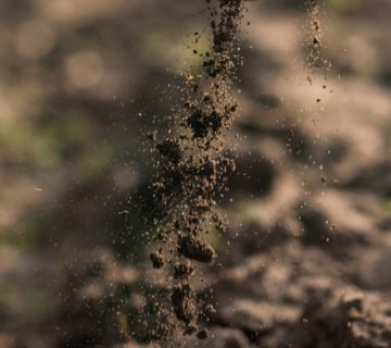 Struiz aarde uit hand