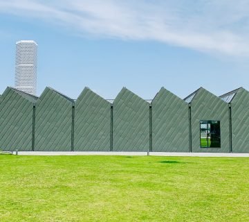 Graszoden voor je tuin