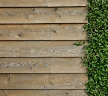 Meer privacy in je tuin