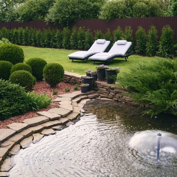 Benodigdheden voor een vijver aanleggen