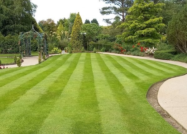 Hoe snel en eenvoudig uw tuin transformeren met grasmatten