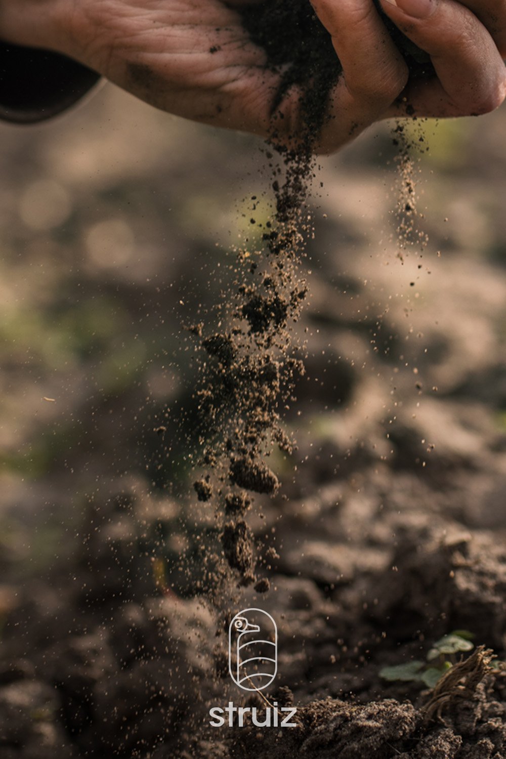 Struiz aarde uit hand